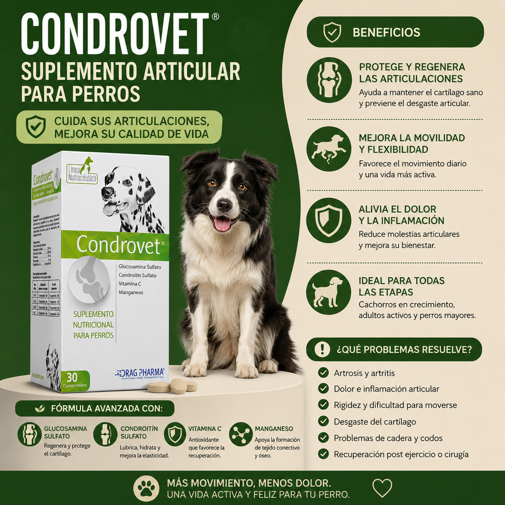Condrovet (60 comprimidos)