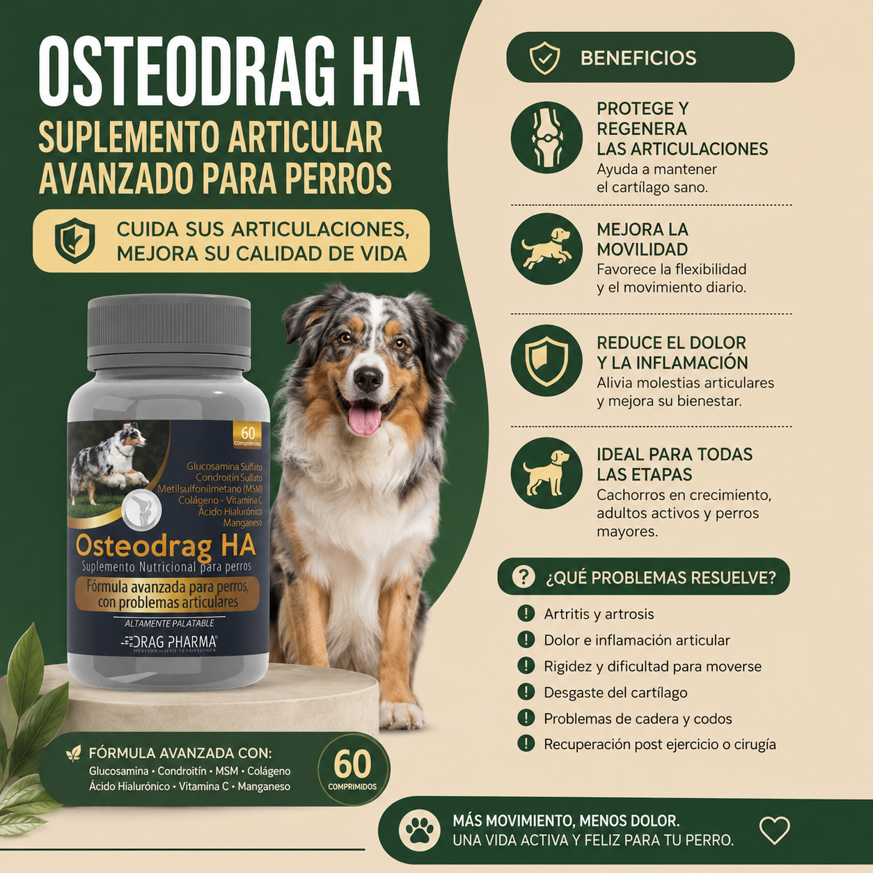 Osteodrag HA (60 comprimidos)