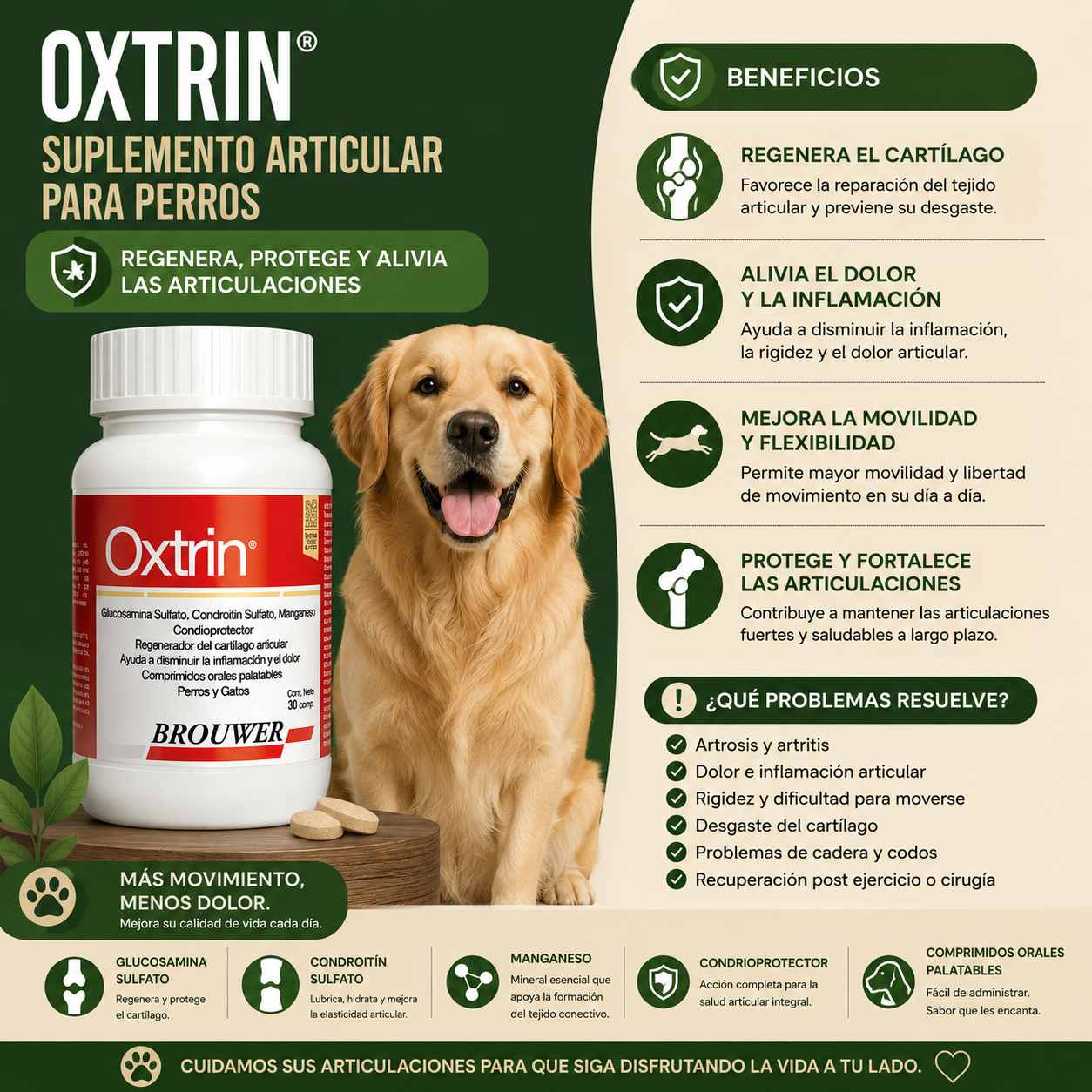 Oxtrin (30 comprimidos)